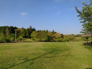 【広々した公園なので、人がいない時は長いリードで遊ばせることもできそうです】