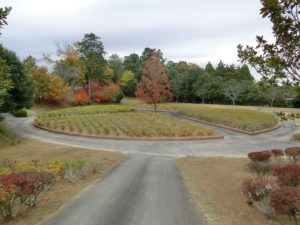 【上川町遊歩道公園のフラワーガーデン】