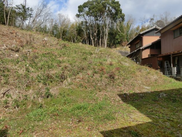 【建物裏にある裏山】