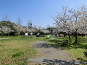 【せせらぎ公園中央には遊具や東屋もありますよ】