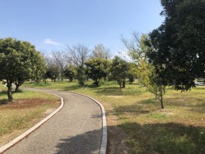 【公園内にある遊歩道】