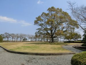 【大きなシンボルツリーのある広域衛生センター公園】