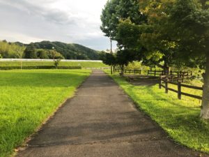 【休日ペットの集まる天啓公園】