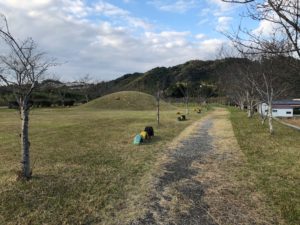 【桜づつみ公園の広場部分】