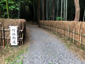 【松阪市ベルファーム近くにある竹林街道】