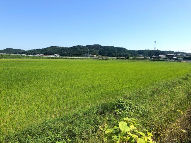 【大自然を感じる多気町西山650万円土地からの景色】