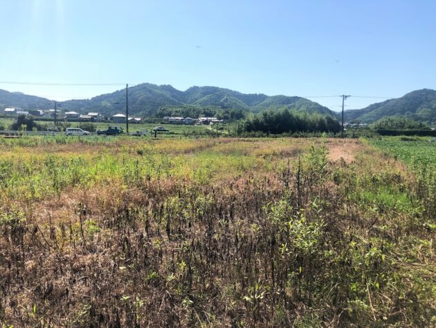 【大自然を感じる多気町西山650万円土地外観】