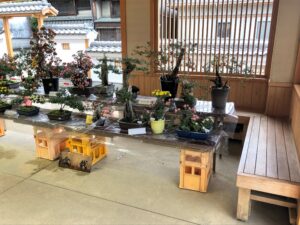 【市民菊花展の見事な菊たち】