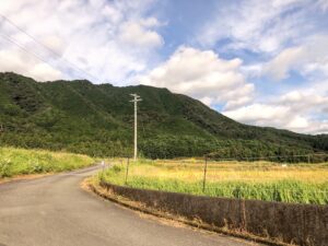 【物件庭からのマウンテンビュー】