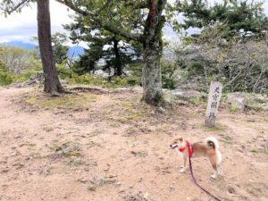 【松坂城跡天守閣跡】