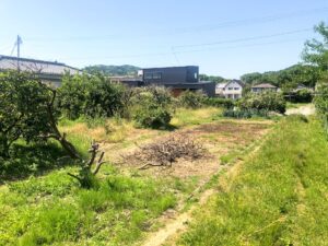 【多気町相可倉庫用土地185坪　奥からの画像】