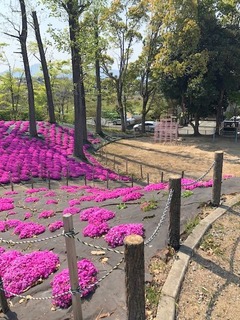 パーク公園⑤