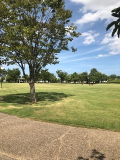 上川公園③